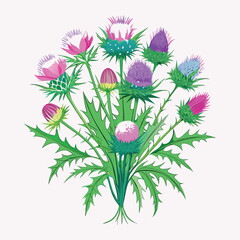 Stylized Thistle Bouquet