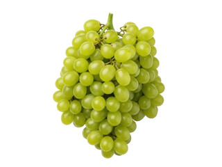 Isolated pile of green grapes on the vine, fresh and ready to eat, healthy snack ingredient