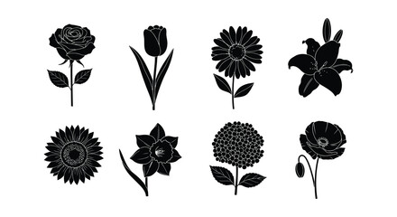 A collection of various black silhouette floral designs and botanical illustrations