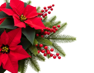 Christmas wreath crescent shape with poinsettias and pinecones isolated on transparent background
