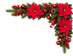 Christmas corner decoration with poinsettias and pine cones isolated on transparent background