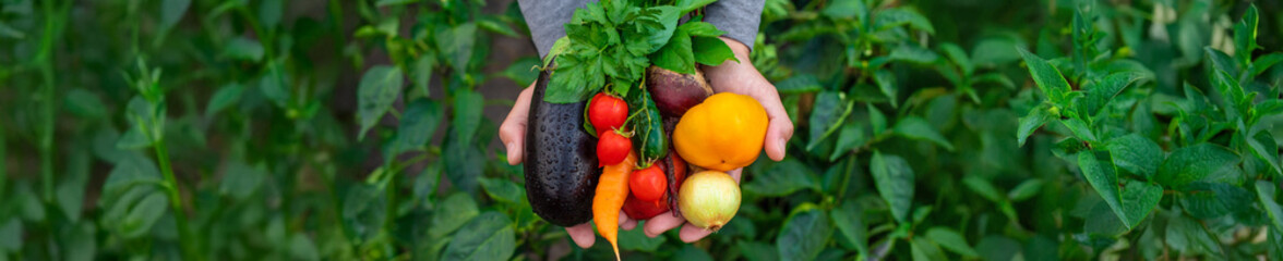 A man holding vegetables in his hands. Selective focus.