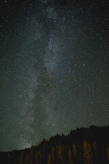 Milchstraße über Waldgebiet