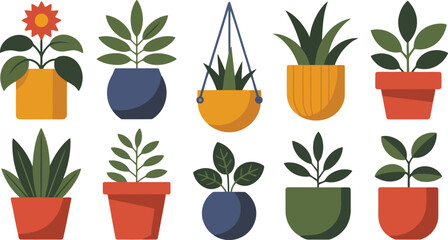 Collection of ten potted plants in various colorful pots and styles flower green