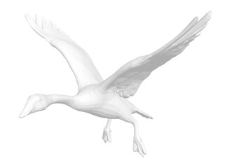 A white swan flies with wings spread wide, its feathers glistening in sunlight. The bird's neck and legs are outstretched against a bright white background.
