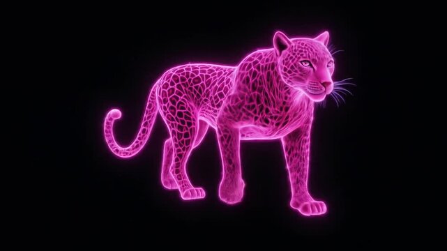 Neon leopard on black background. Bright pink color, artistic digital art, fantasy animal, leopard print. 4k video