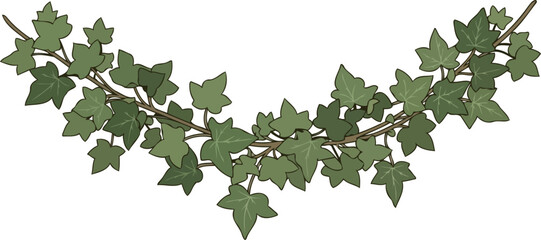 evergreen adornment natures gentle arch, framing stories with timeless botanical grace, isolated on transparent background