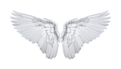 Obraz premium Majestic feathered wings spanning gracefully against a transparent backdrop bring a sense of ethereal beauty and inspiration to life