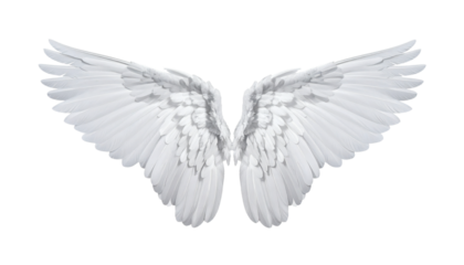 Majestic feathered wings spanning gracefully against a transparent backdrop bring a sense of ethereal beauty and inspiration to life