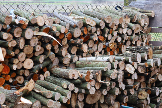 A tall, dense stack of freshly cut thin logs and branches of various diameters, piled up along a mesh fence. The clear cross-sections of wood with rings and bark texture are visible. - Powered by Adobe