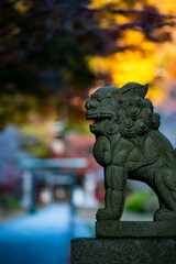 鎌倉251128　建長寺7　半僧坊＆紅葉＆黄葉