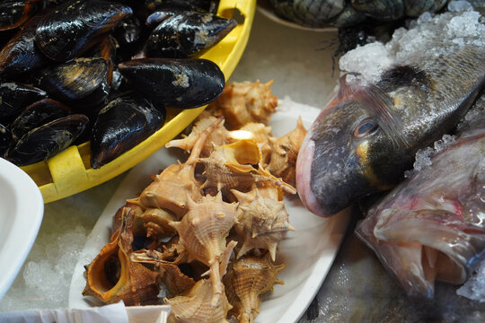 Mediterranean seafood and fish. Mussels, ragworms (Bolinus brandaris), and fresh fish.