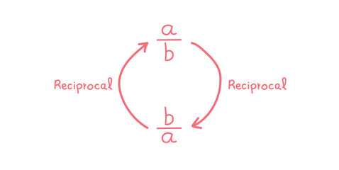 Reciprocal Expression of a Number in Math.