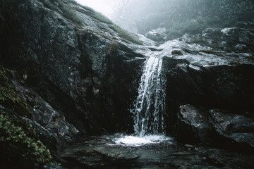 waterfall in the forest