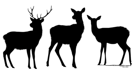 Three deer silhouettes standing in various poses including stag and doe on transparent background