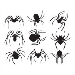 Various arachnid forms with multiple legs and body types