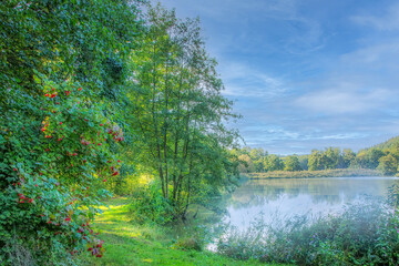 Peaceful lake reflection surrounded by lush green trees and red berries tranquil autumn morning