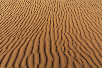 Close-up details of desert sand dunes in Bidiyah, Oman, highlighting natural wind-formed patterns, soft textures, and warm golden tones under sunlight, Sultanate of Oman , December 06 2025.