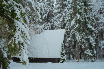 Cozy Snowy Winter Village with Traditional Houses and Peaceful Rural Landscape