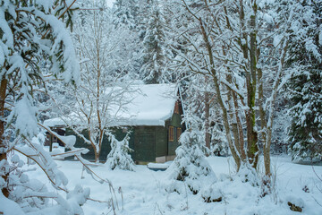 Cozy Snowy Winter Village with Traditional Houses and Peaceful Rural Landscape
