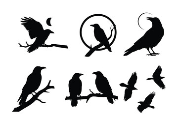 Set of Raven and Crow Silhouettes with Moon and Branch Elements