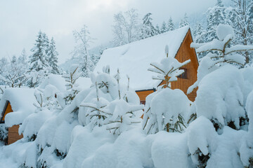 Cozy Snowy Winter Village with Traditional Houses and Peaceful Rural Landscape