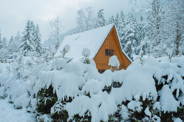 Cozy Snowy Winter Village with Traditional Houses and Peaceful Rural Landscape