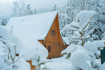 Cozy Snowy Winter Village with Traditional Houses and Peaceful Rural Landscape