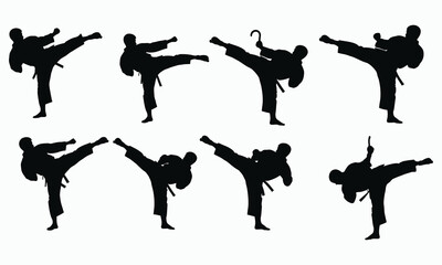 Professional Martial Arts Silhouettes Taekwondo Motion Set