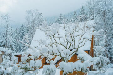 Cozy Snowy Winter Village with Traditional Houses and Peaceful Rural Landscape