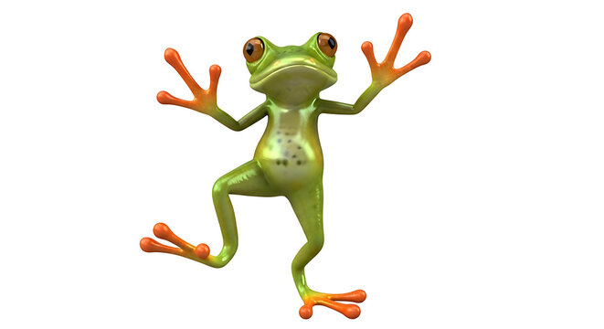 frog with outstretched limbs