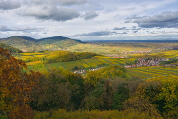 Wide, elevated view over the autumn vineyards and wooded hills of the Palatinate region (Pfalz), Germany, with a small town in the distance.
