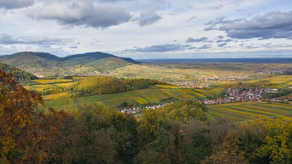 Wide, elevated view over the autumn vineyards and wooded hills of the Palatinate region (Pfalz), Germany, with a small town in the distance.