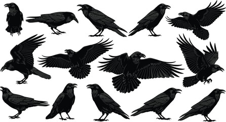 Flexible pole dancer silhouettes vector set, diverse women performing acrobatic splits and poses on a vertical pole, artistic fitness routine, flat black icon.