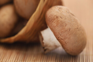 Brown button mushroom