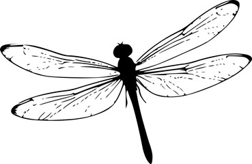 Dragonfly Silhouette Design Simple Nature Insect Symbol