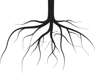 Brown tree root system illustration, detailed branching roots design, natural organic underground structure graphic for education, ecology, gardening, biology concepts vector art