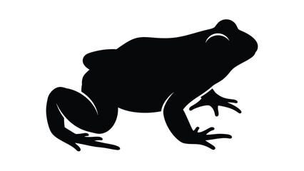 Silhouette of a frog in a simple black and white illustration style