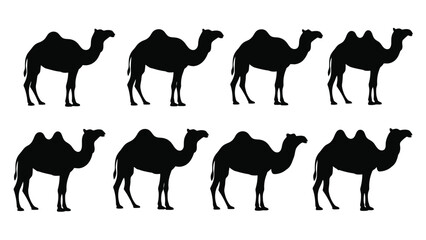 Silhouette collection of camels in various poses a desert wildlife depiction