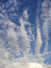 Panorama of Bright Blue Sky and Soft White Clouds