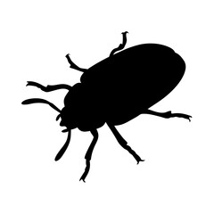 Black silhouette of a beetle with visible legs and antennae