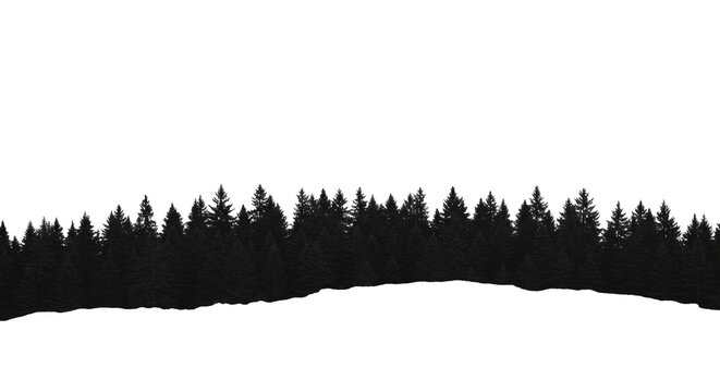 inky black silhouette of dense mature pine trees, panoramic forest line with sharp edges, white ethereal mist and vast copy space on high-key background. Conceptual minimalism design