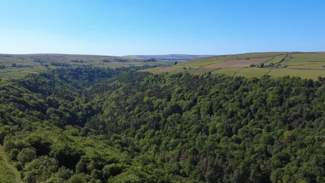 scenic aerial view of the wooded valley at hardcastle crags near hebden bridge surrounded by west yorkshire landscape in summer