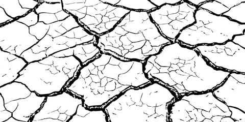 High-resolution cracked dry soil texture with intricate fracture patterns, natural organic lines, monochrome design ideal for backgrounds, geology themes, environmental concepts and compositions.