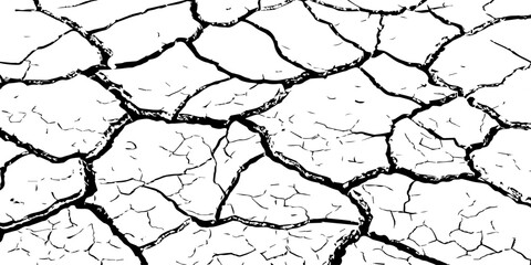 High-resolution cracked dry soil texture with intricate fracture patterns, natural organic lines, monochrome design ideal for backgrounds, geology themes, environmental concepts and compositions.