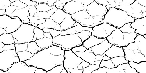 High-resolution cracked dry soil texture with intricate fracture patterns, natural organic lines, monochrome design ideal for backgrounds, geology themes, environmental concepts and compositions.