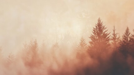 Foggy forest landscape with tall trees and misty atmosphere during early morning light