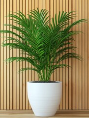 Lush palm plant in a white pot against a textured wooden wall background