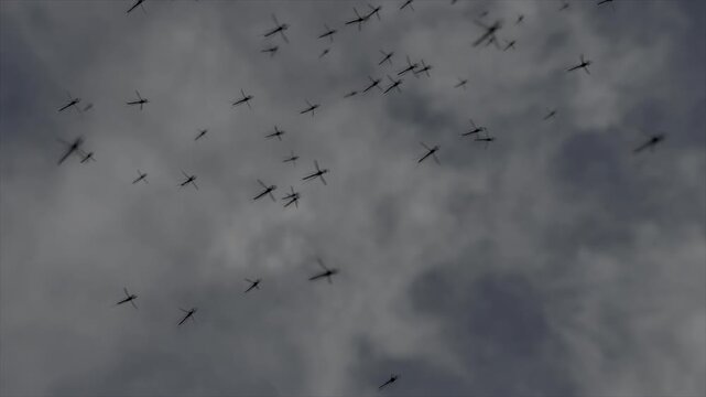 Small gnats mosquitoes flying in swarm in blue sky insects background slow motion close up 120fps UK 4K