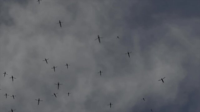 Small gnats mosquitoes flying in swarm in blue sky insects background slow motion close up 120fps UK 4K